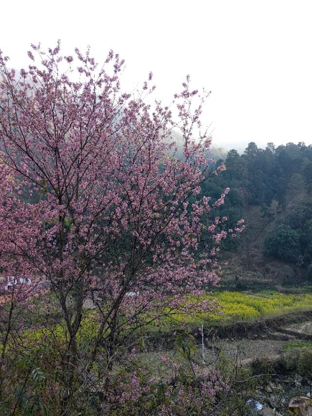 云南树洞里泡温泉，人均1000的小众边陲小镇