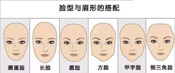 每一个人的脸长相都像明星，你喜欢那个明星的脸形