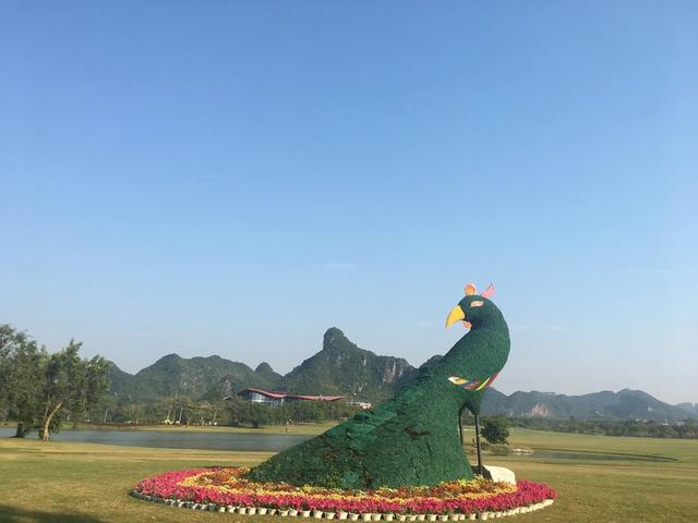 南宁花花大世界，南宁武鸣花花世界是什么样的（武鸣的花花大世界如今和南宁市区的公园有什么区别）