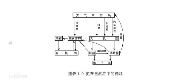 氮常见是几价，氮的那些事儿一