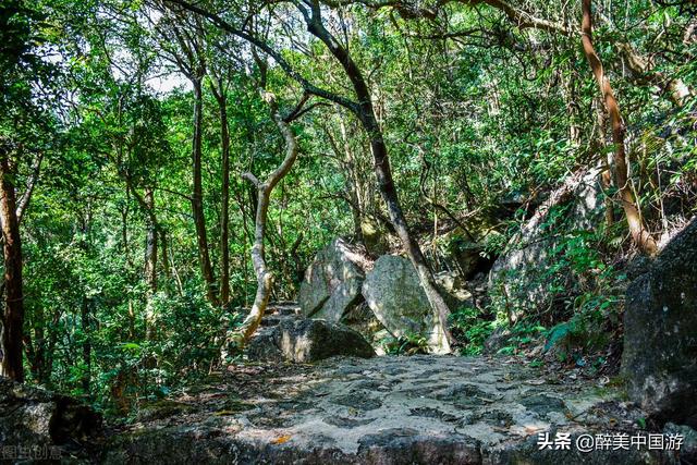 五一旅游最佳去处，五一去的旅游景点推荐（这些景点让你享受轻松愉快的假期时光）