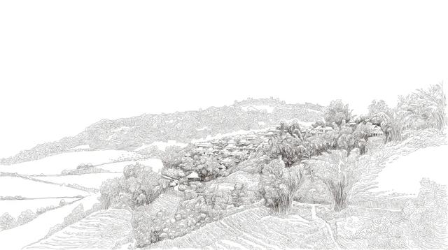 大桶乌龙茶饮料，桔品课堂你不知道的闽南乌龙