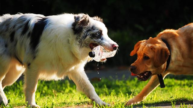 奥林巴斯em1，奥林巴斯em1mark3测评
