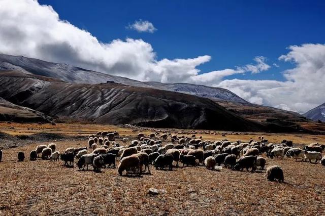 山南旅游景点大全，山南旅游最美景点