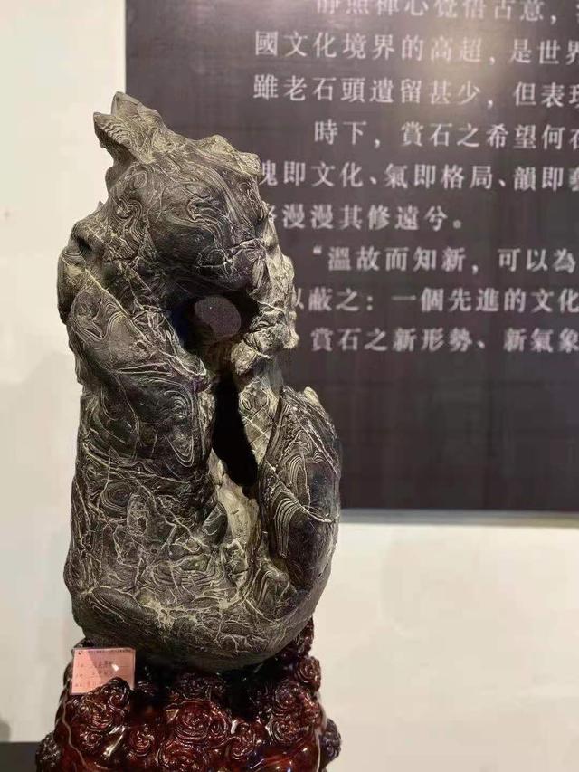 乌石是什么石头，乌石有甲纹石