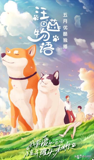 朱正廷养宠物综艺，朱正廷、张雨剑与流浪狗同居的节目