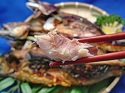 青花鱼有什么营养，宝宝补充DHA首选这5种鱼