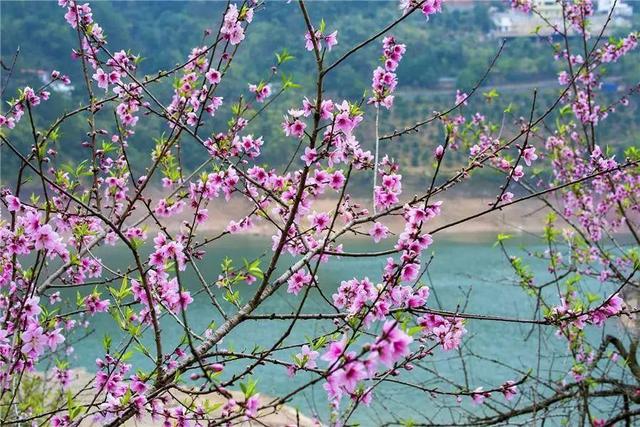 到洱海旅游路线安排，最新攻略一篇告诉你