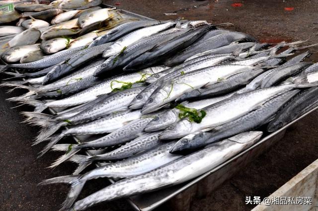 鱼肉饺子馅的正宗做法，鱼肉饺子馅做法大全图解窍门