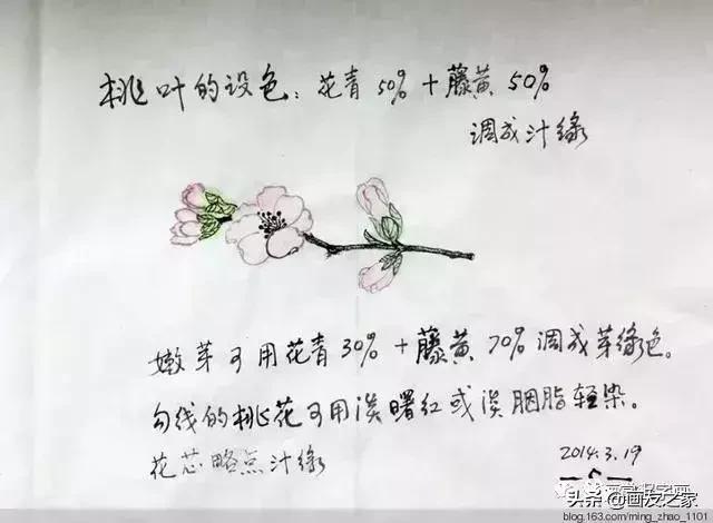 花鸟工笔画的基本步骤，工笔花鸟画法合集