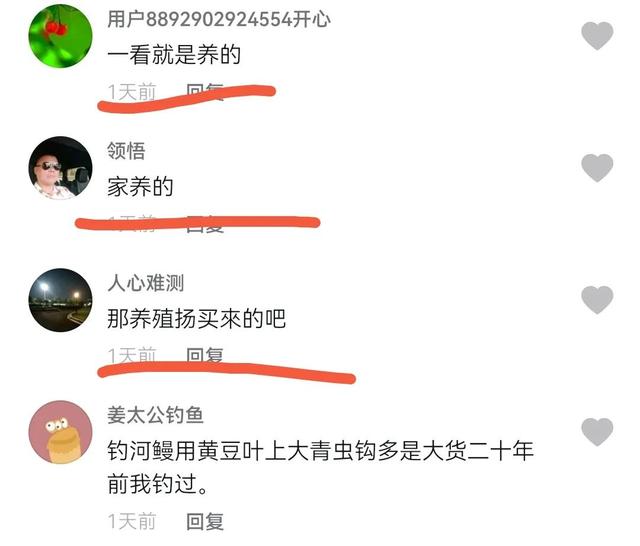 男子夜钓出五十斤黄鳝，男子钓出6公斤重巨型黄鳝