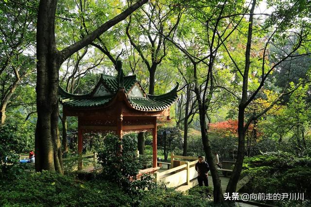 重庆旅游景点大全推荐，重庆热门旅游景点推荐