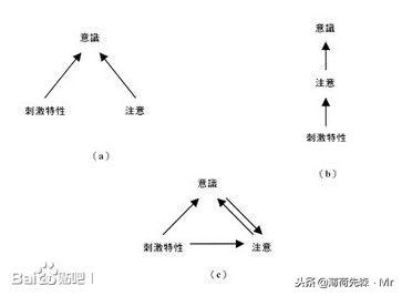 图文直播神秘世界999个未解之谜，世界未解之谜神秘地方