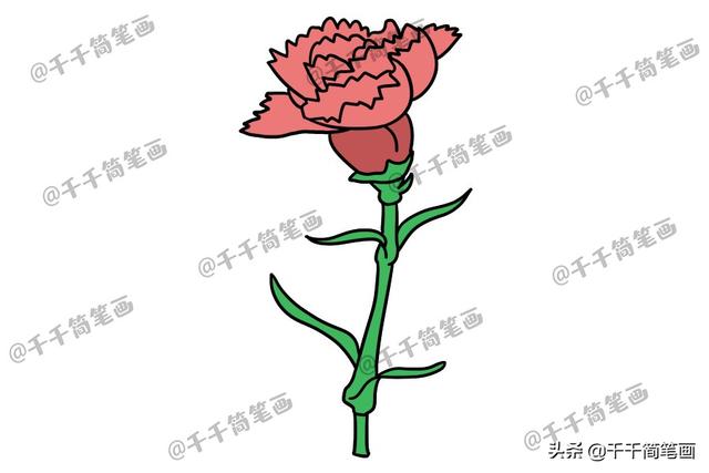 花草树木简笔画，花草树木的简笔画法（花草树木简笔画）