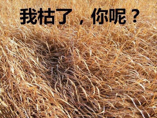 周冬雨小黄鸭合照，独家照片回顾百变周冬雨