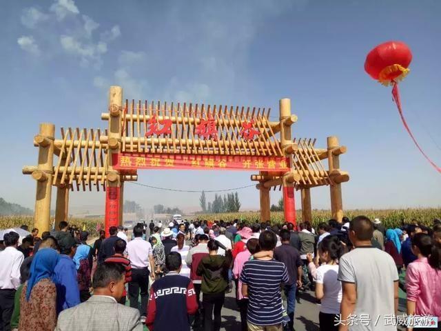 甘肃武威市简介，甘肃武威历史简介（甘肃武威，最吸引你的是什么）