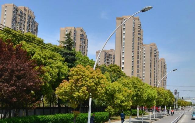 上海市嘉定区南翔镇，上海嘉定南翔镇未来发展（研讨基层治理发展路径）