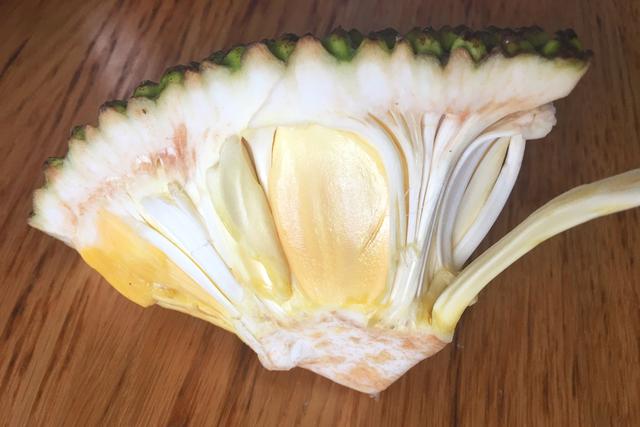 做法简单营养又美味的几道家常菜，这菜这样炒给肉都不换