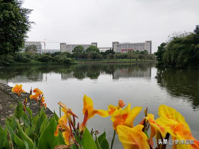 美丽大方的校园，郑州市创新实验学校金桂街校区开展“最美教室”活动