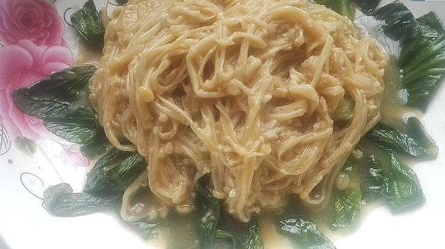 爆辣金针菇特别简单的做法，教你营养好吃的油菜扒金针菇