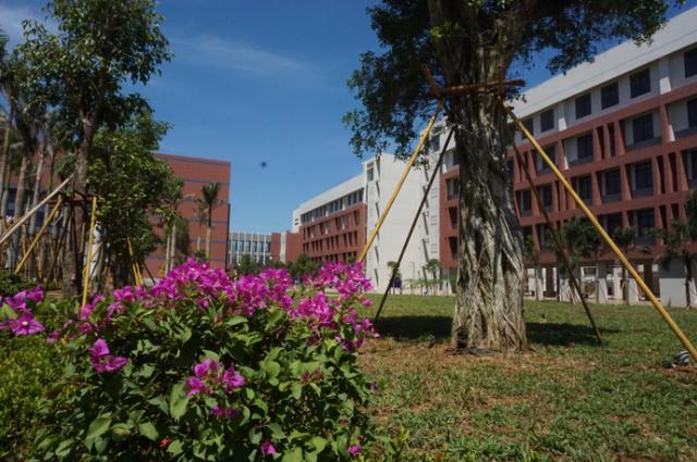 海南中学国际学校，海南国际学校排名榜最新（海南中学、海南侨中等10所学校中招提前批分数线公布）