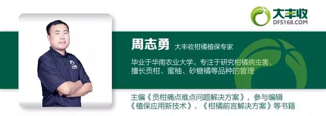 红蜘蛛的习性及防治，红蜘蛛将迎来第一个高发期