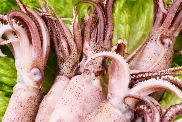 酱焖全籽乌家常做法，肉沫酱焖籽乌高能下饭菜