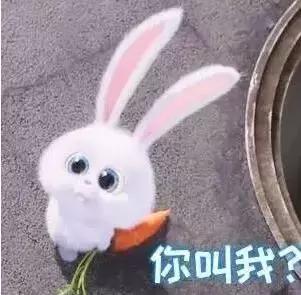 兔子急了也会咬人，千万别把对手逼上绝路》