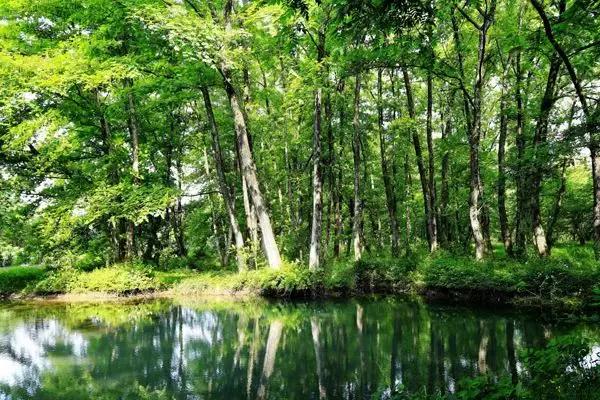 芜湖景点有哪些值得去玩的，芜湖必去的景点（这里经典必游的六个地方）