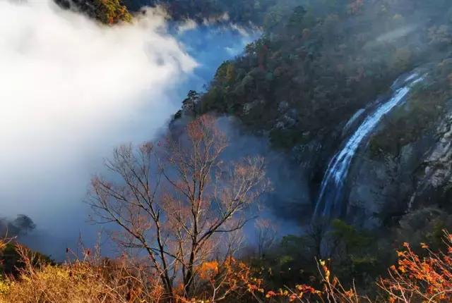 芜湖景点有哪些值得去玩的，芜湖必去的景点（这里经典必游的六个地方）