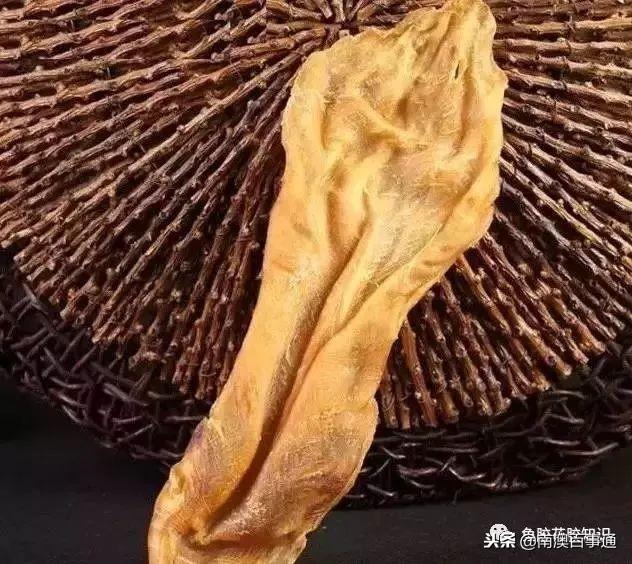 鱼胶哪种品种好，涨知识鱼胶种类大全