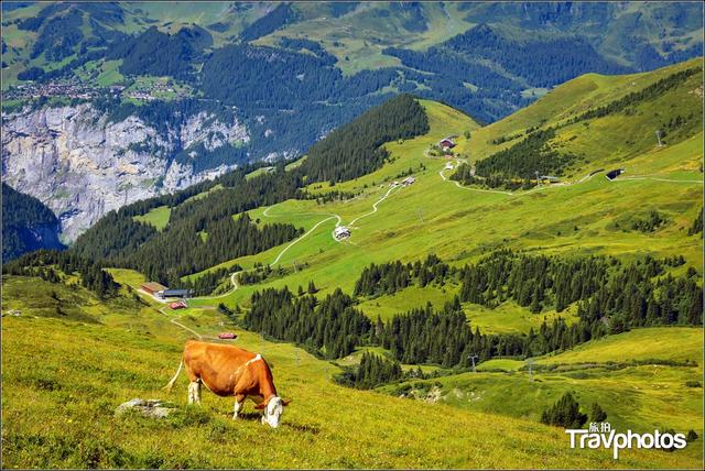 徒步博格达峰，孤寂的行者——记天山博格达峰自然保护区大东沟徒步