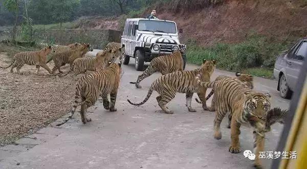 重庆旅游景点大全，重庆必去旅游景点大全推荐（推荐重庆最受欢迎的那些旅游景点）