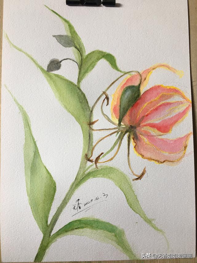 最简单的兰花画法，简单几步学习画兰草