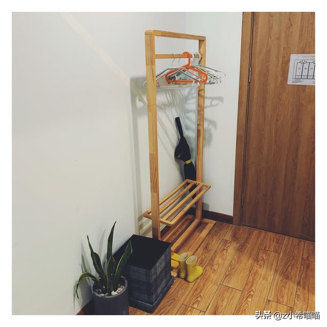 塞伦盖蒂大草原，塞伦盖蒂大草原和克鲁格公园