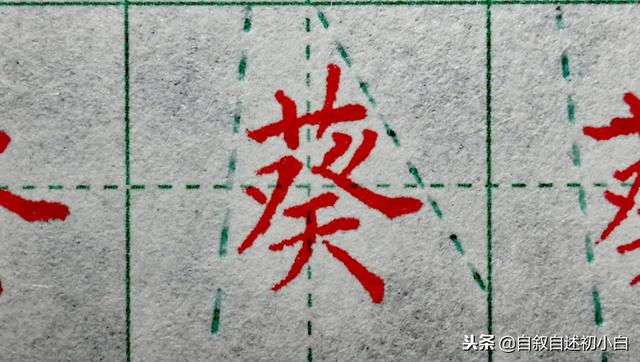 草字头加长怎么读，草书练字教程米字格（艹、屮、艸、芔、茻）