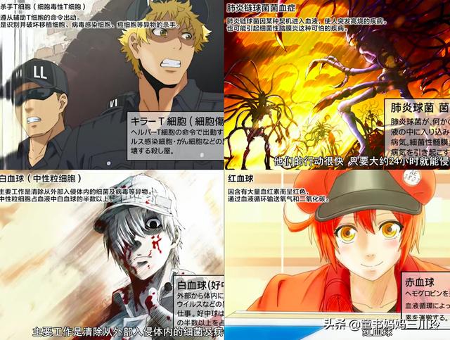 儿童科普纪录片，适合儿童看的科普片（9部孩子必看的顶级纪录片）