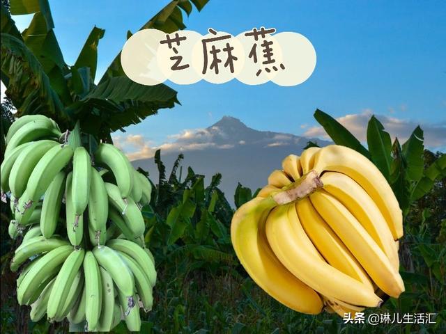 香蕉还能这样吃好看又好吃，你了解它们的品种吗