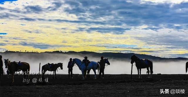 世界上的主要火山带分布在哪里，在全球四大火山带之一