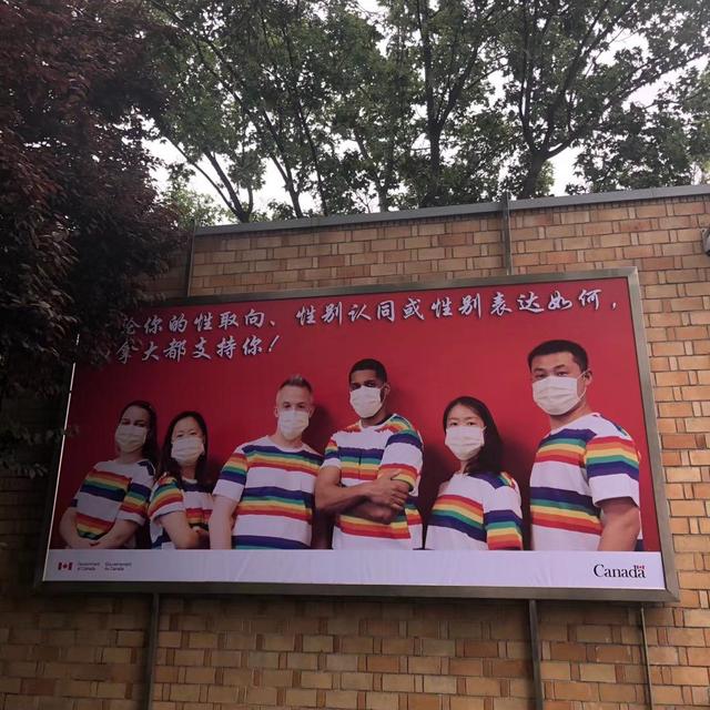 世界不再恐同日是什么时候开始的，世界不再恐同日