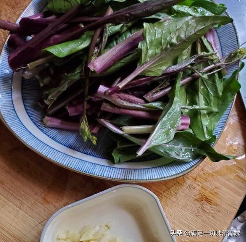 炒紫菜的做法大全家常教学，紫菜和鸡蛋不光烧汤好喝