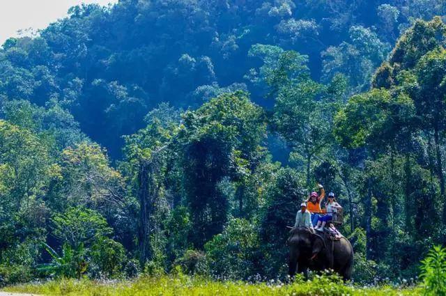 西双版纳必游景点攻略，西双版纳值得一游的10个精华景区
