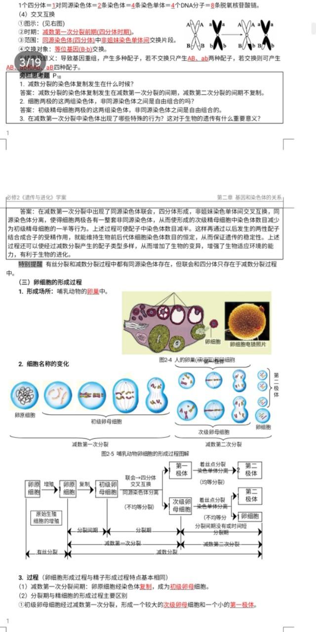 减数分裂图像讲解，减数分裂图文详解--随时随地学生物