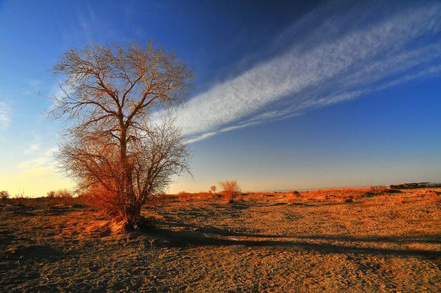 凉州词王之涣玉门关，春风不度玉门关