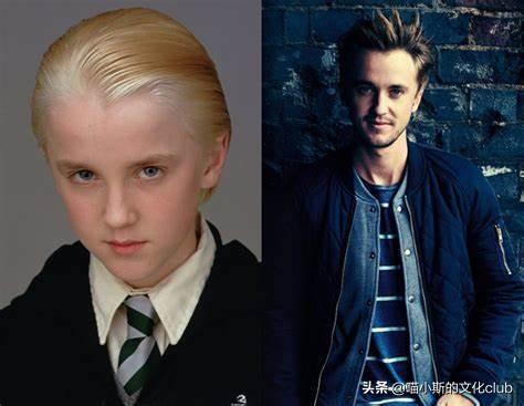 哈利波特男主角，哈利波特十大配角