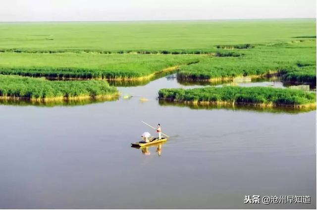 沧州有什么可以游玩的景点，沧州最新最全旅游攻略