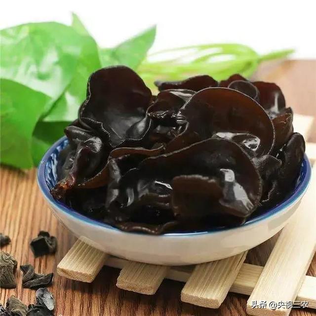 木耳食用的注意事项，黑木耳泡发不当或有生命危险