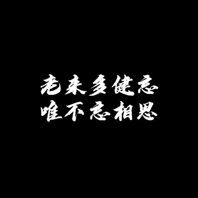 微信好看的背景图，微信朋友圈最好看背景图（个性、沙雕、励志文字控）