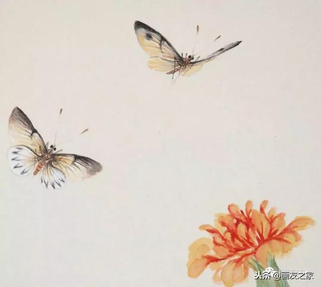 九尾狐最简单的画法教学，逐花之虫蝶蜂画法示范