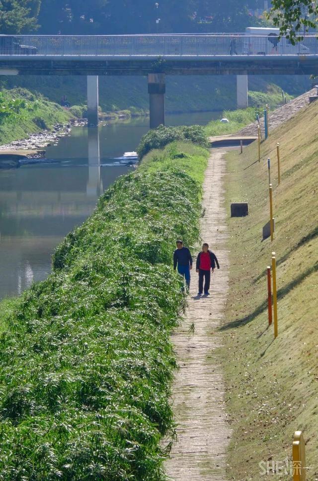 深圳旅游攻略景点推荐，深圳十条旅游路线（不完整的旅游景点和美食选择）
